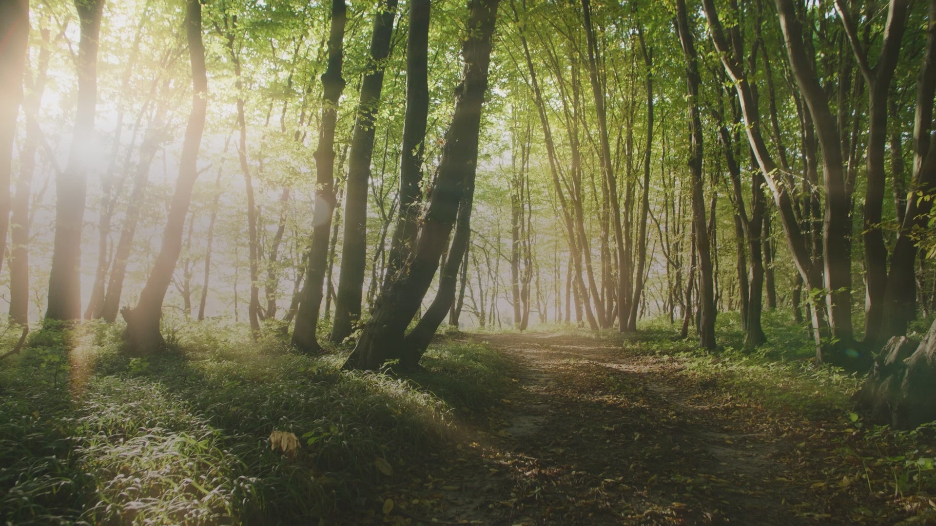 Load video: As our promise for lasting impact for generations to come, we’re proud to commit 1% of our annual sales to protecting the health and safety of people and our precious planet through our partnership with 1% for the Planet.