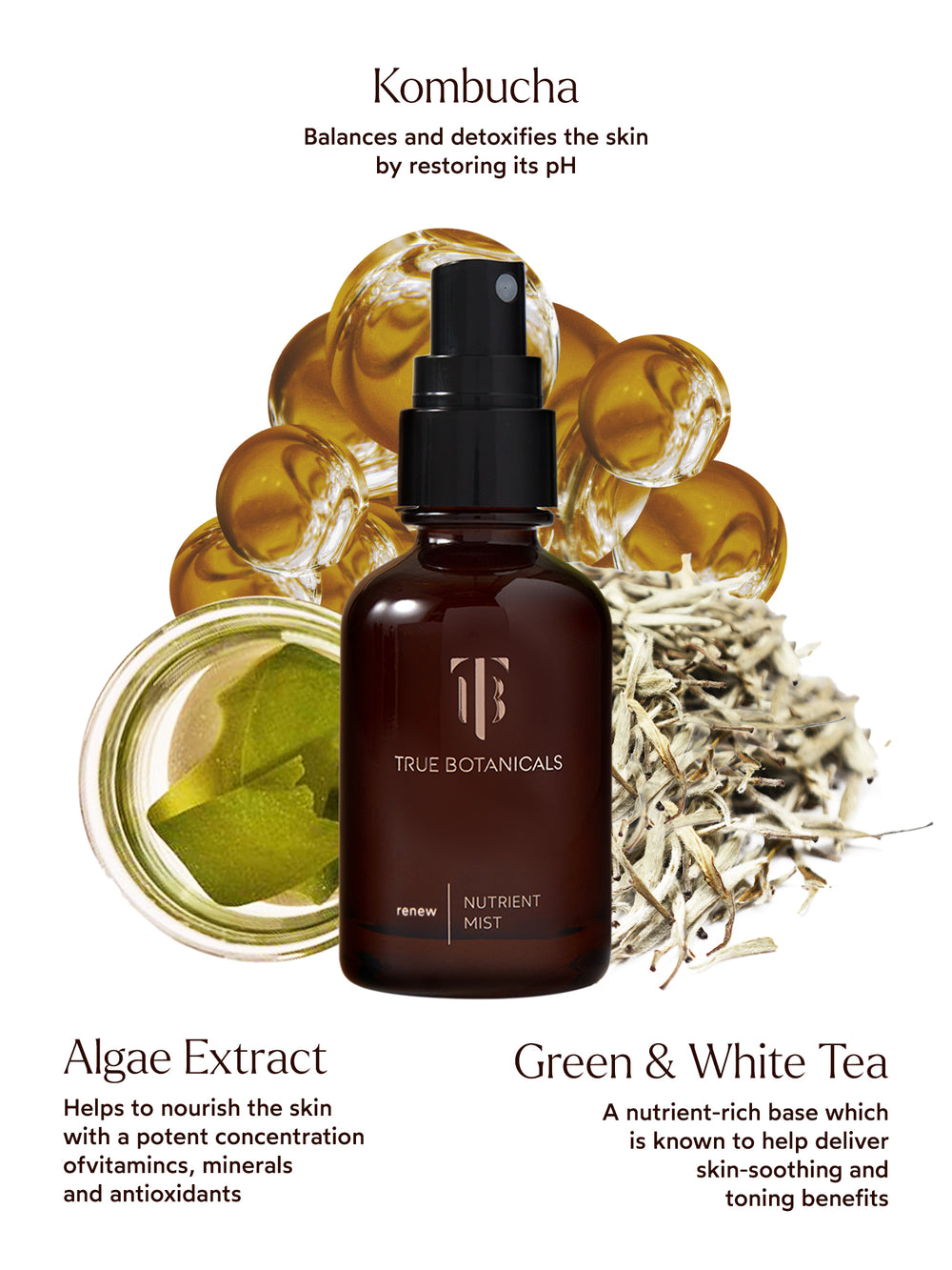The Renew Nutrient Mist features Kombucha to balance and detoxify skin by restoring its pH, Algae Extract to nourish with vitamins, minerals, and antioxidants, and Green & White Tea to deliver skin-soothing and toning benefits. This nutrient-rich mist hydrates, protects, and revitalizes skin for a radiant, refreshed look.