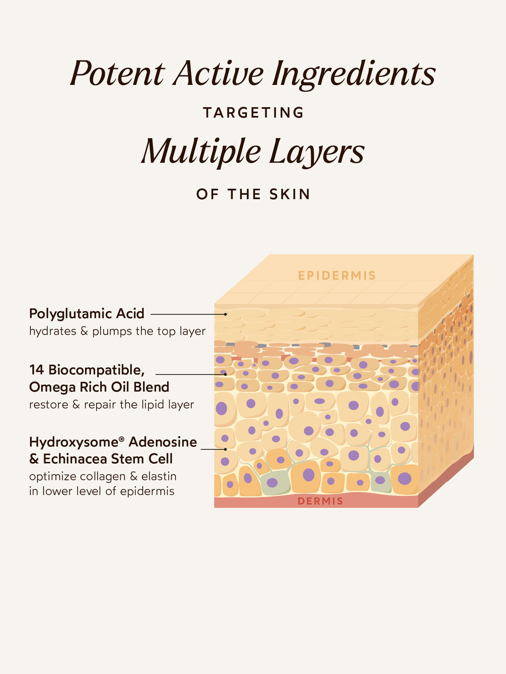 Pure Radiance Supreme Eye Cream