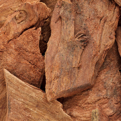 tree bark extract ingredient 